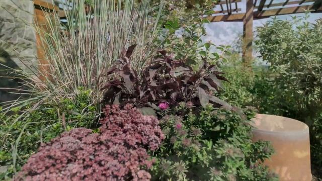 Container Garden for Fall | Packed with Color
