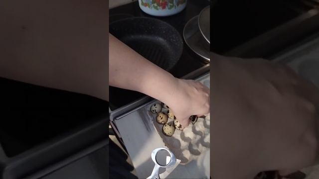 ножницы для перепелинных яиц.