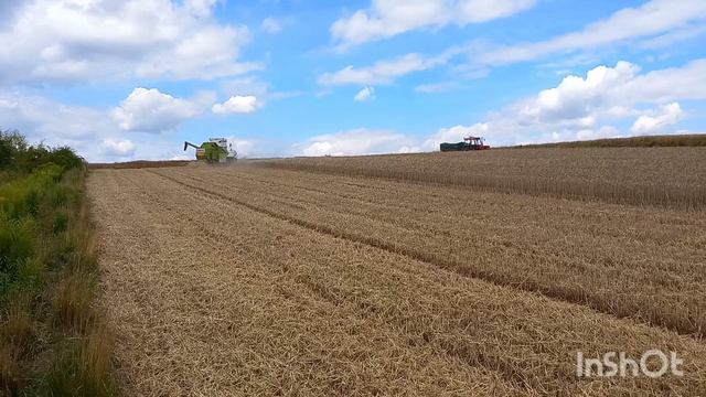 żniwa 2023 Claas dominator 48