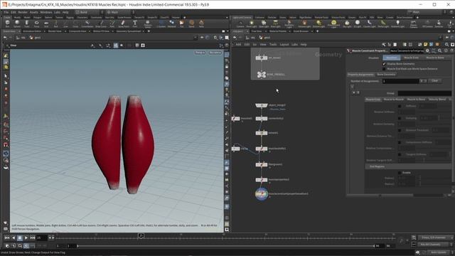 Часть 18. Мышцы CFX, часть 1.