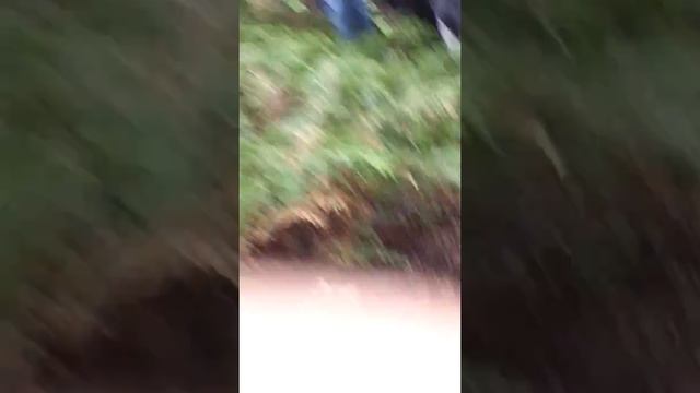 Ботанический сад г. Москвы