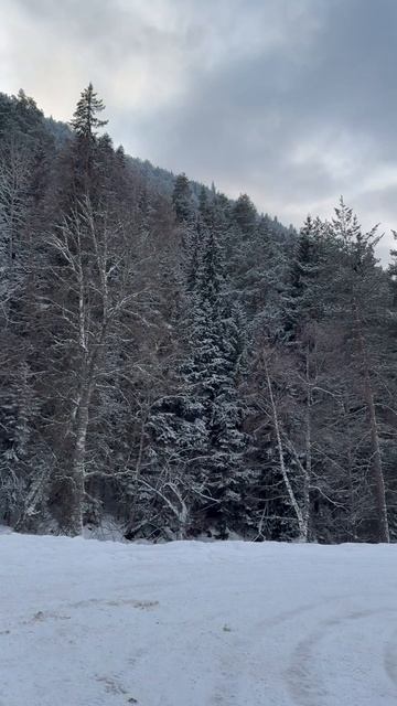 Жизнь - это повод сойти с ума 🤪