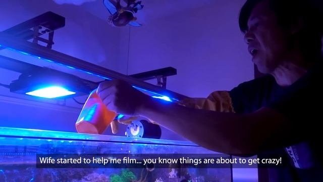 Budget Reefing: Cheap Kalkwasser, Nitrate dosing, CO2 Scrubber media!!