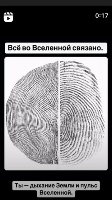 Всё во Вселенной связано