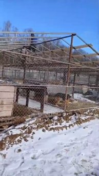 Помогите построить крышу!