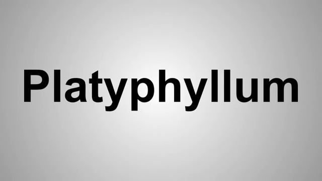 How To Pronounce Platyphyllum