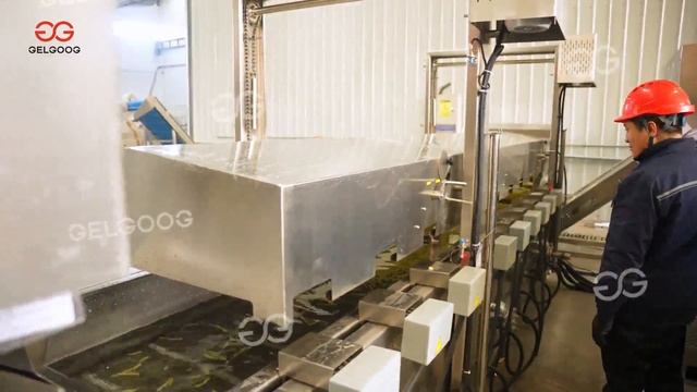 French fries production line