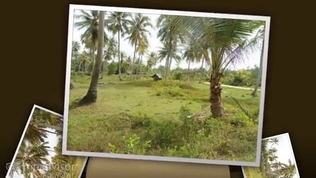 2.5-rai-beachfront-land-lipa-noi-koh-samui