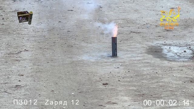 П3012 Zаряд 12 петарда