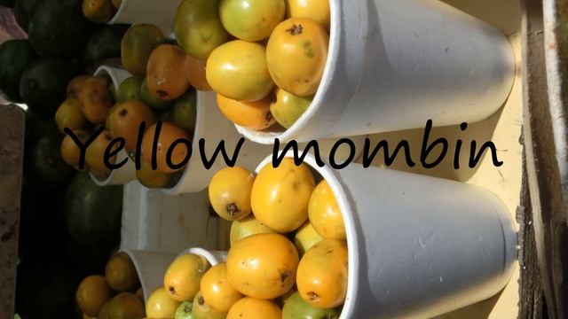 How to Pronounce Yellow mombin?