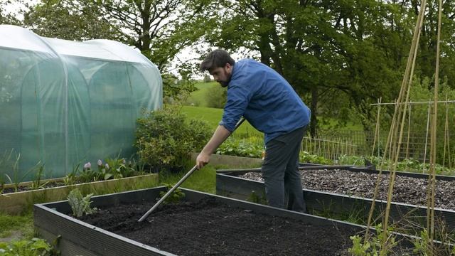 A Clever Method to Increase Your Garden's Productivity