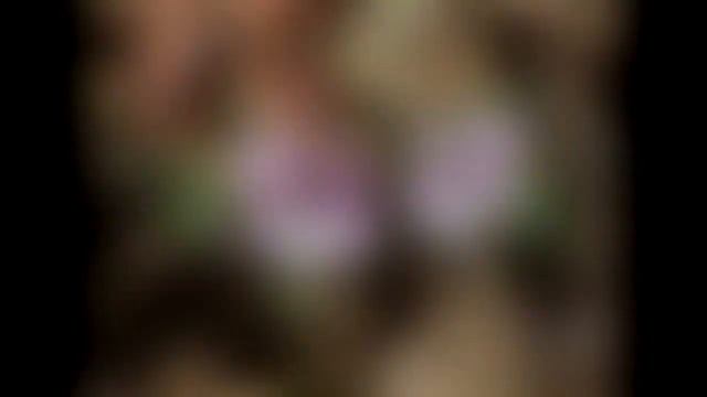 すみれ40 - 日本のスミレ40種類