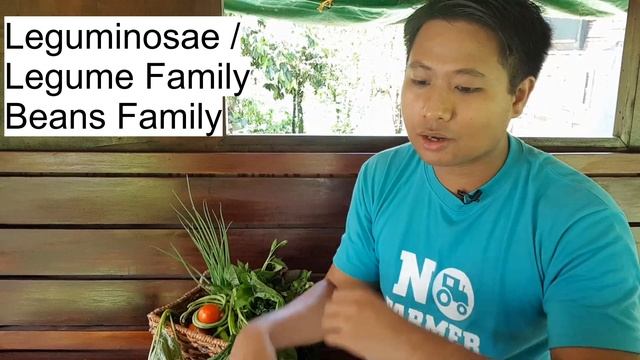 Families of Vegetables (Mga Pamilya ng Gulay)
