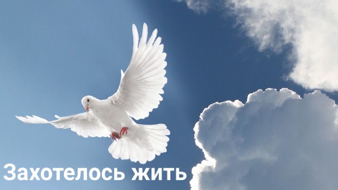 Захотелось жить, интересная история