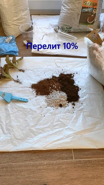 Салат До питательной смеси и после🌏🌏🌏#Shorts
