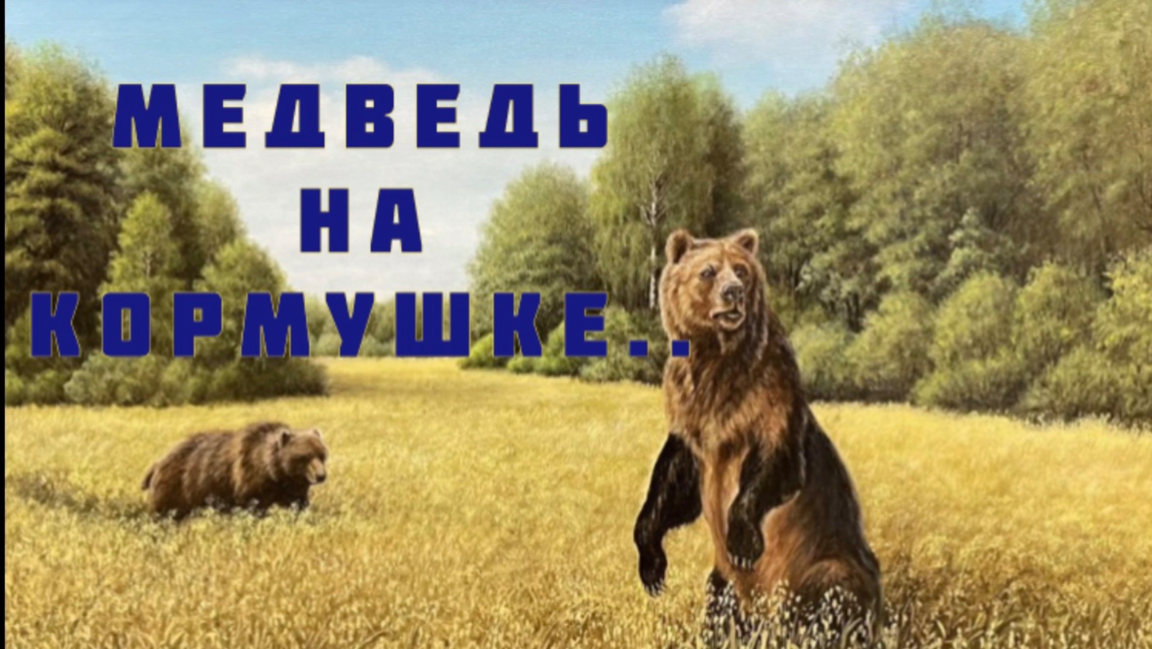 #4 Медведь на кормушке..