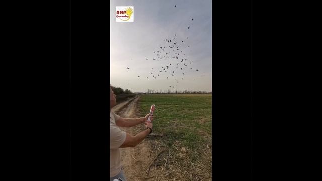 Пневмохлопушка FM ZRL30 30см бумажные рубли