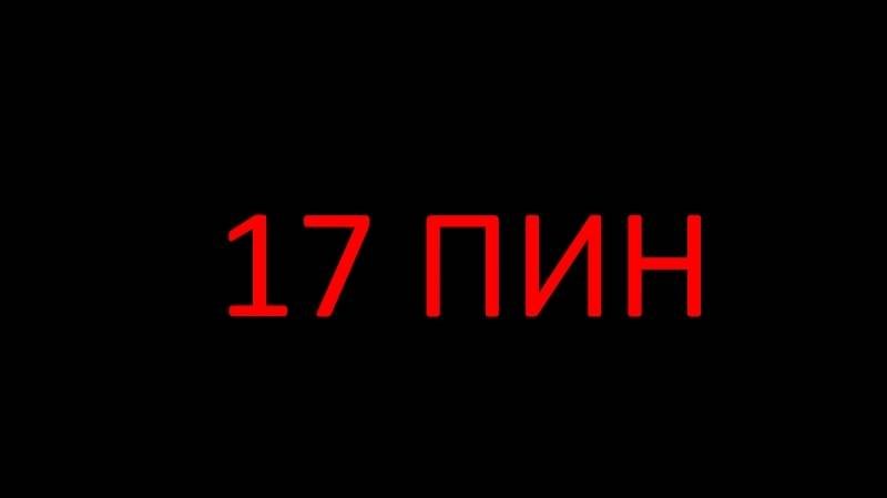 Пины мультка. 17 пин мультика.