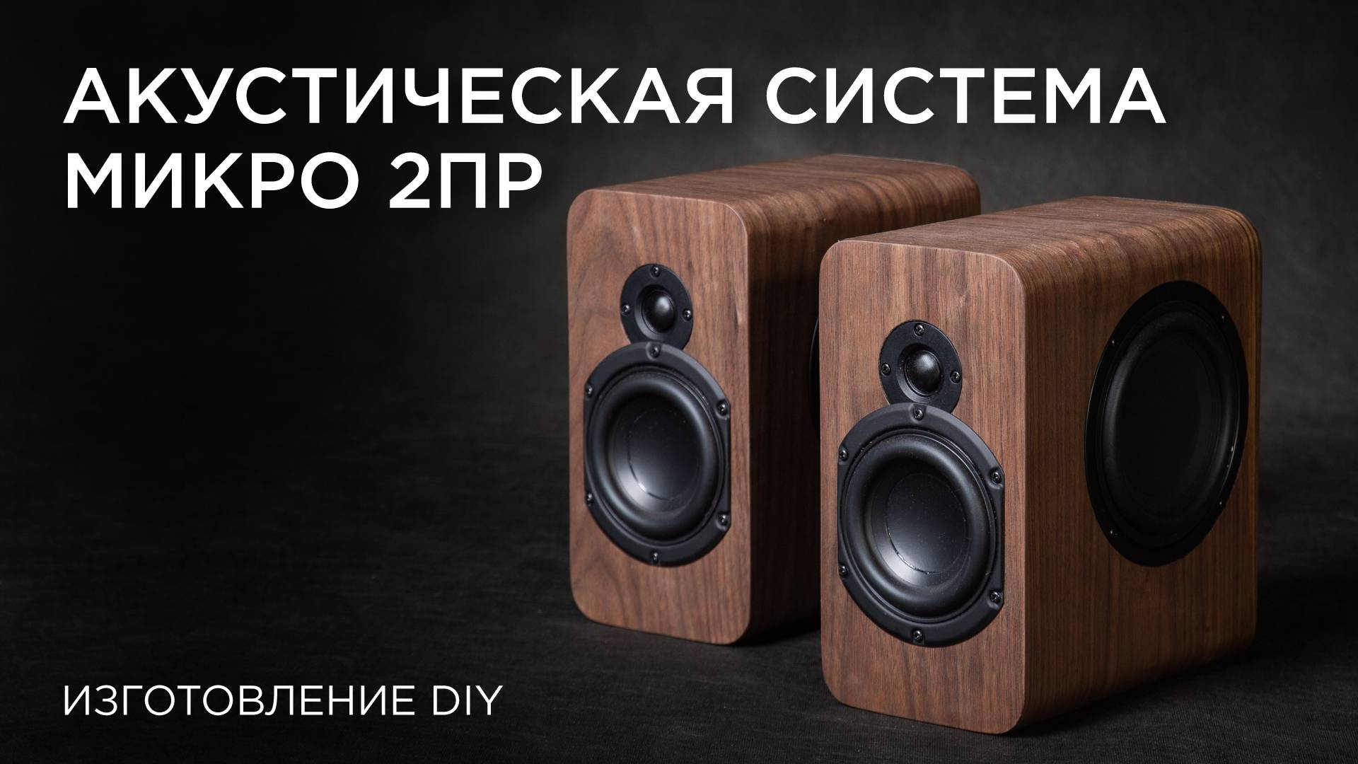Акустическая система Микро 2ПР. Изготовление DIY