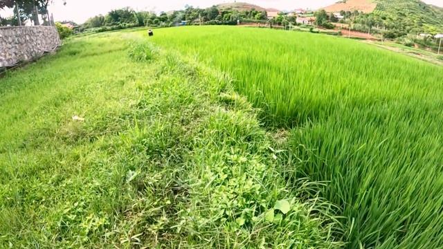 Cảnh đẹp bản Tra,  Mường Bon, Mai Sơn