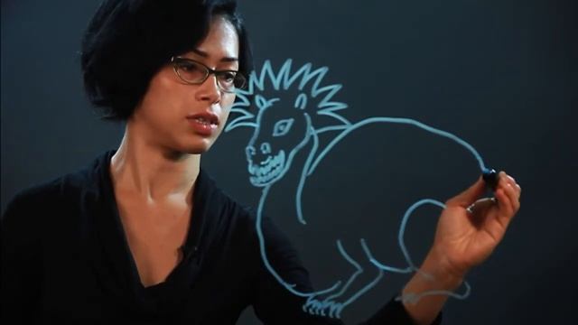 How to Draw a Black Dragon