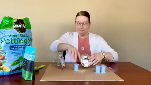 DIY Chia Pet  |  Teen Maker Monday  |  Waukee Public Library