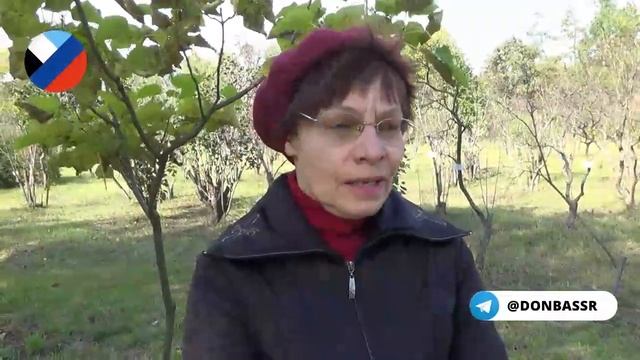 В Донецк пришла сиреневая аномалия