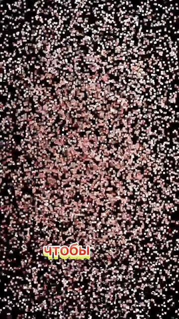 1000086105.mp4