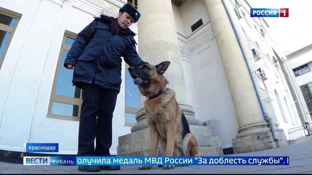 Профессиональный праздник отмечают сотрудники транспортной полиции