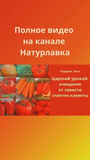 Царский урожай очищение от зависти сплетен клевету