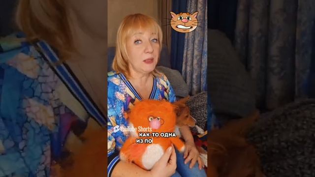 🐱 Знакомьтесь, кот ЧИПИ с Детской планеты 🐱
