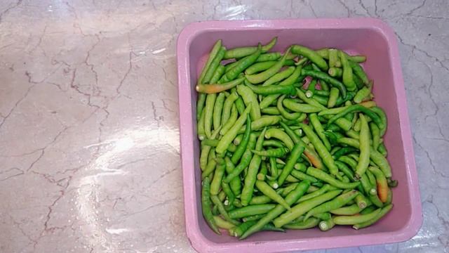 এই সহজ পদ্ধতিটি জানা থাকলে নরমাল ফ্রিজে অনেকদিন কাঁচামরিচ সংরক্ষণ করে একদম টাটকা রাখতে পারবেন।