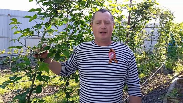 ПОБЕДА одна на всех