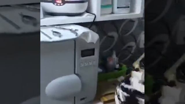 Стерилизация это очень важно
