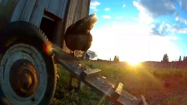Meet Root Cellar Farm