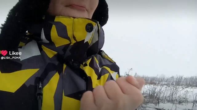 нууу из лайка мой лайк в комах