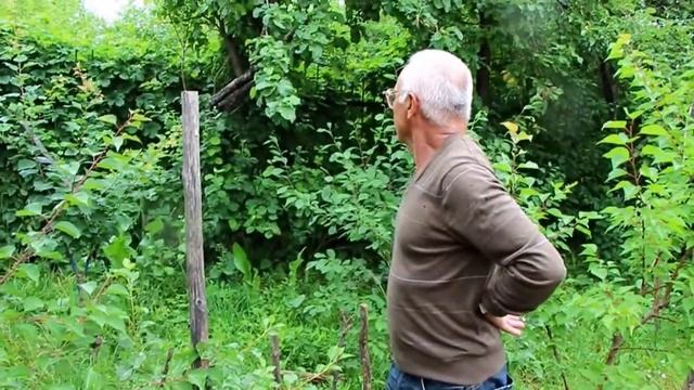 Интервью с садоводом из Чебоксар