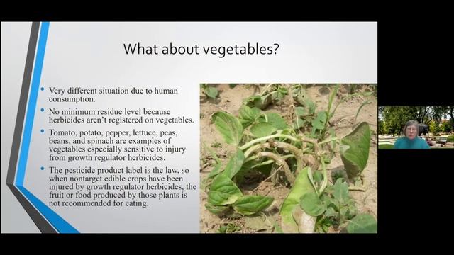 Spring Fever 2021:  Protecting Landscape and Garden Plants from Lawn Herbicides