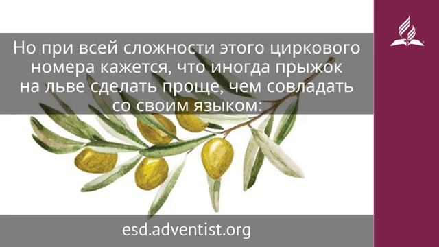 19 февраля 2025 Укрощение языка Под сенью благодати Адвентисты