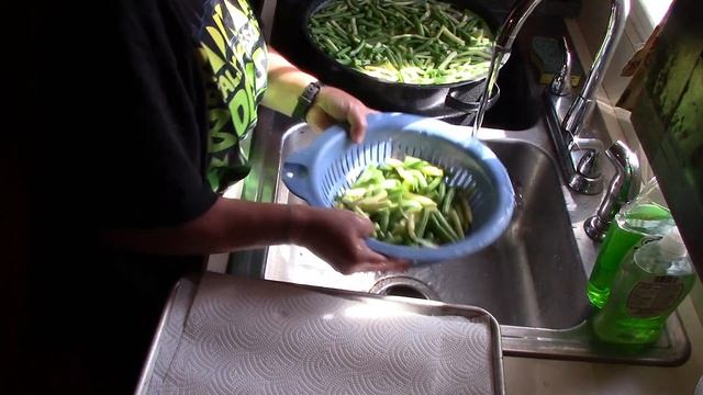 How To Freeze Green Beans | After The Harvest