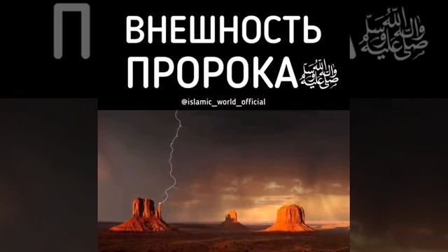 Внешность пророка Мухаммада саллаллаху алейхи ва саллям