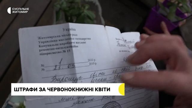 Не штрафуватимуть, якщо є довідка: житомирські екологи про продаж первоцвітів