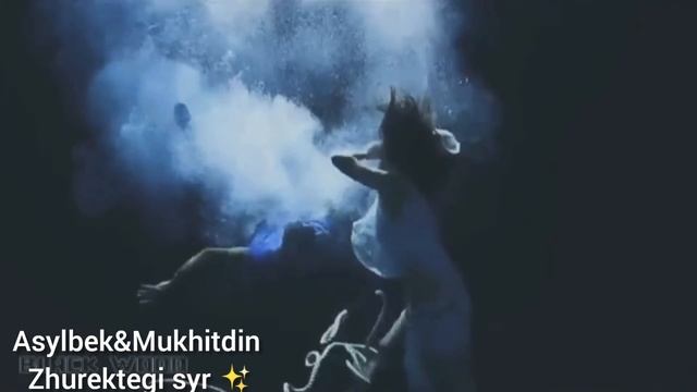 Журектеги сыр