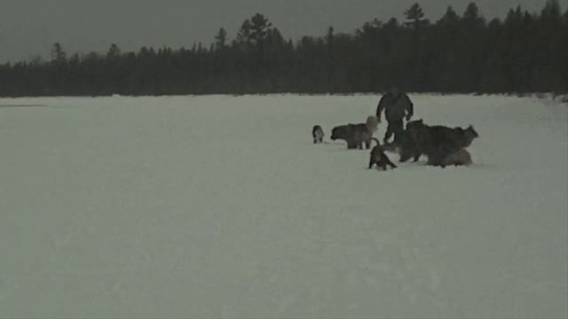 RePoe Xmas Santa.wmv