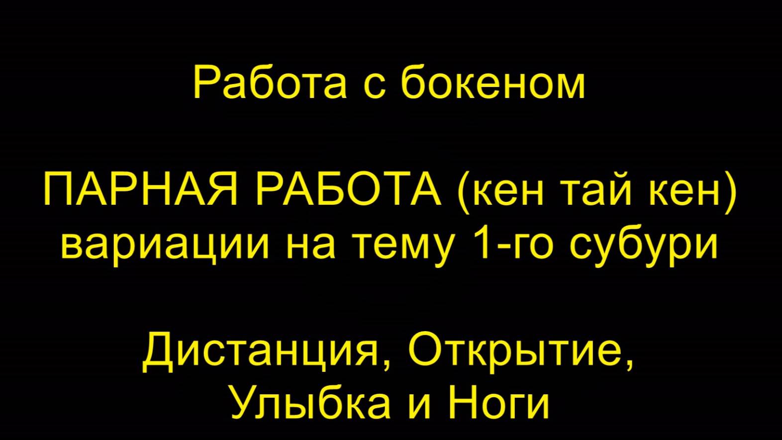 ПАРНАЯ РАБОТА (кен тай кен), вариации на тему 1-го субури. Дистанция, Открытие, Улыбка и Ноги.