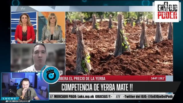 ESCANDALO POR YERBA MATE 🔥 PRECIO POR LAS NUBES 🔥 MILEI DESREGULA