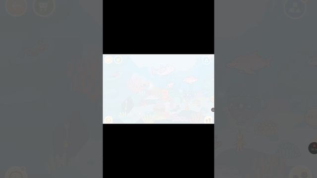 20250218-02.mp4