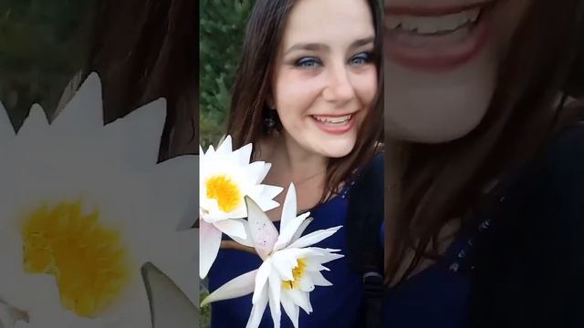 23.06 дюймовочка уже не та  #сад #plant #flower #дача #nature календарь цветения кувшинка #приколы
