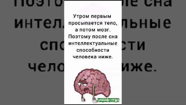 ПРО МОЗГ