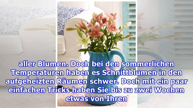 So halten Ihre Lilien länger